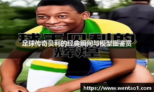 足球传奇贝利的经典瞬间与模型图鉴赏